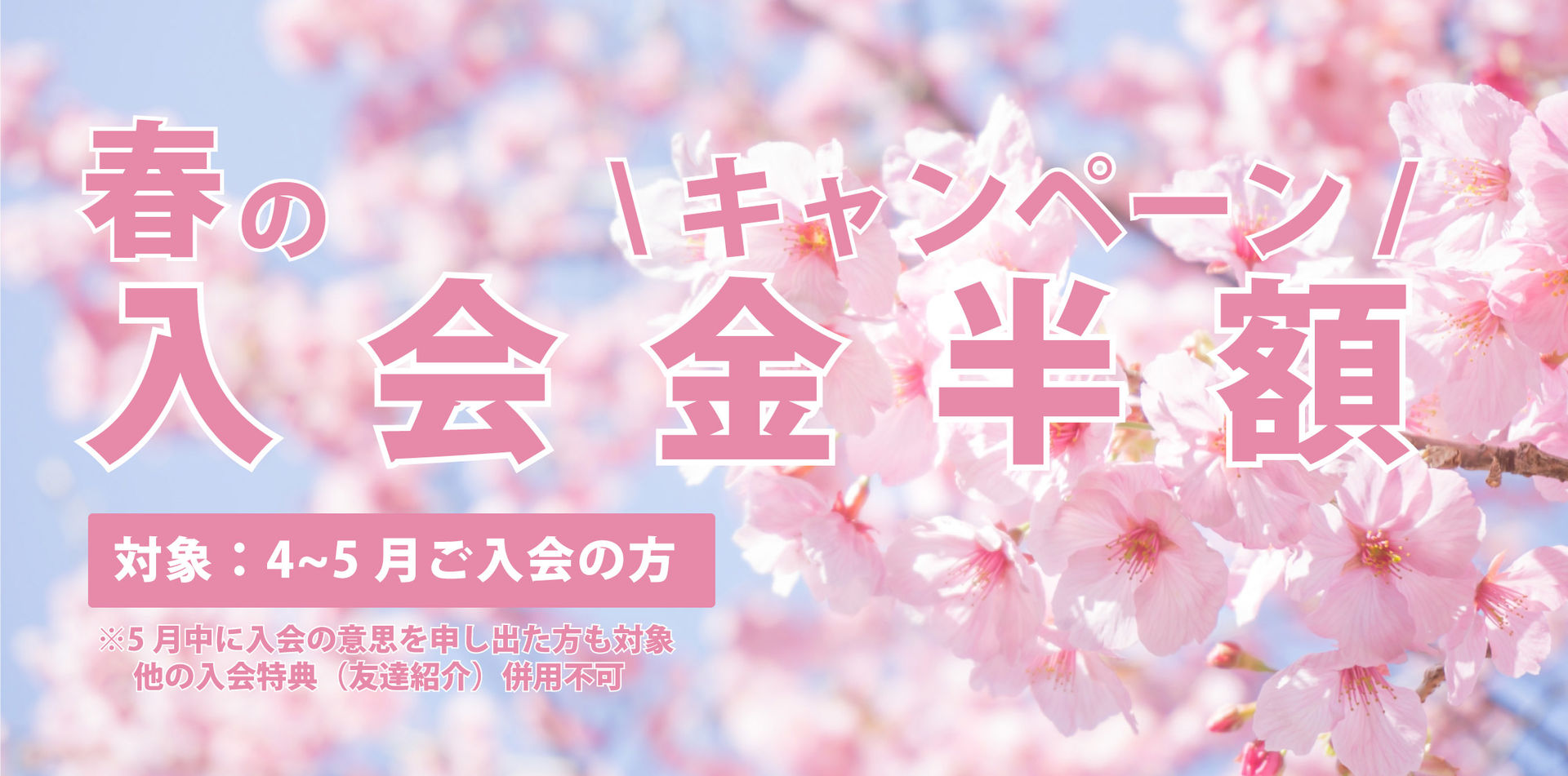春の入会金半額キャンペーン.jpg